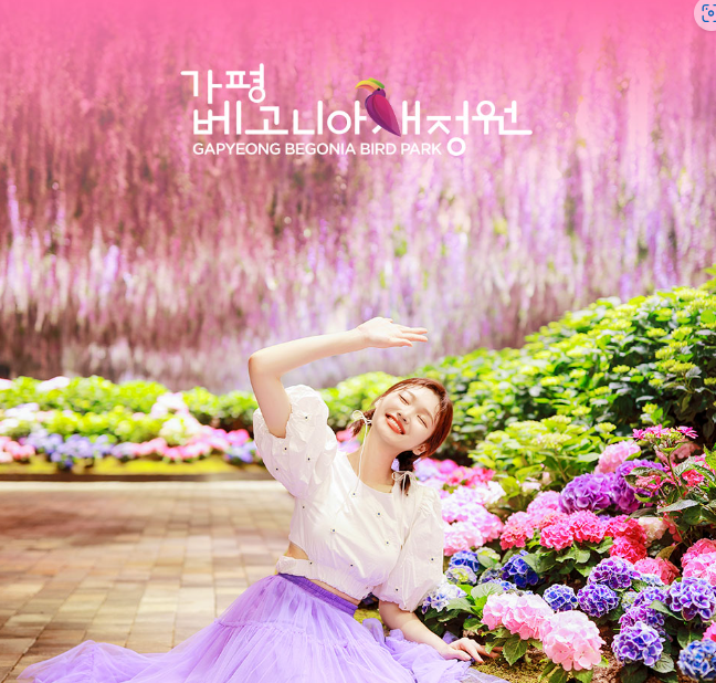 가평베고니아새정원 할인꿀팁