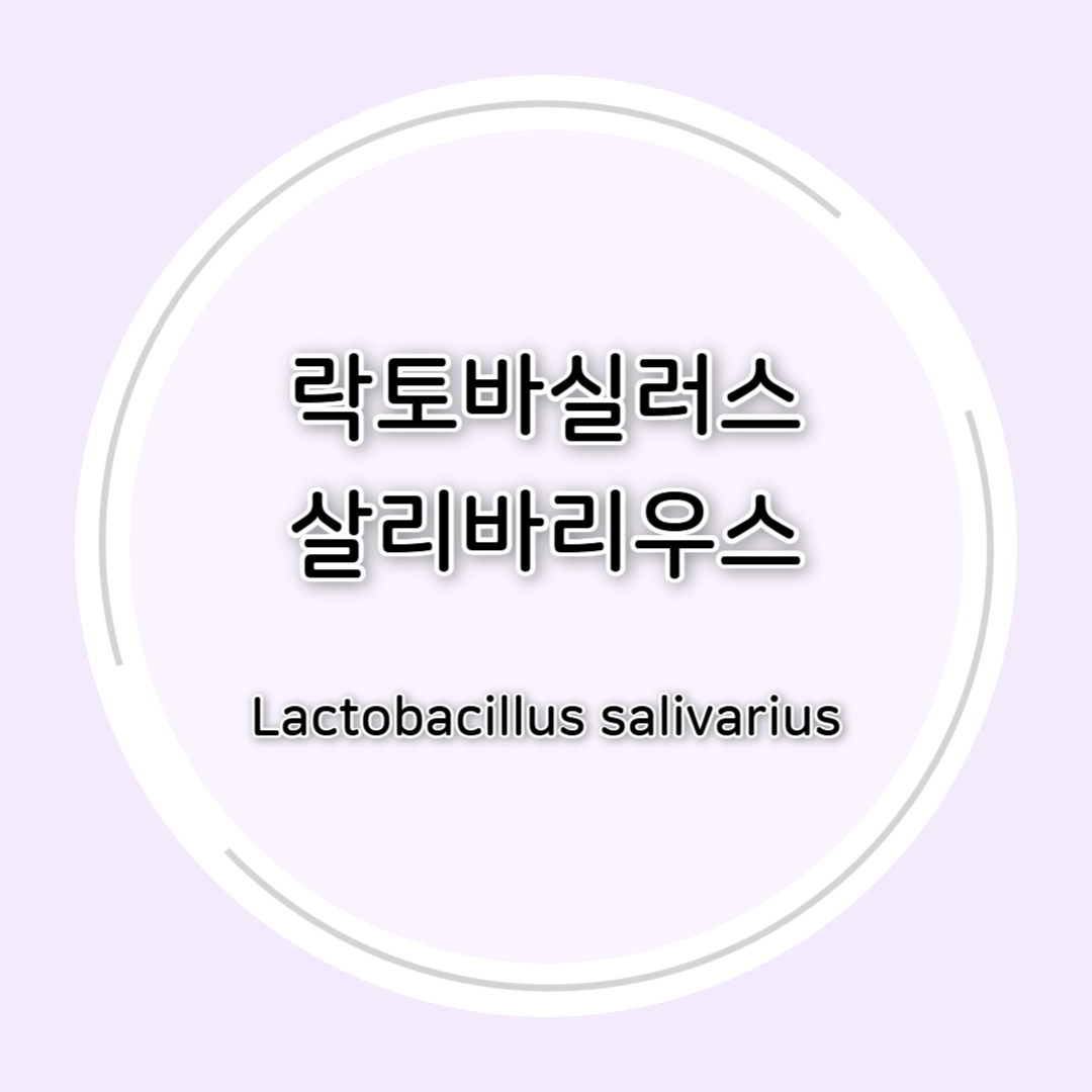 락토바실러스 살리바리우스(Lactobacillus salivarius) 효능 총정리