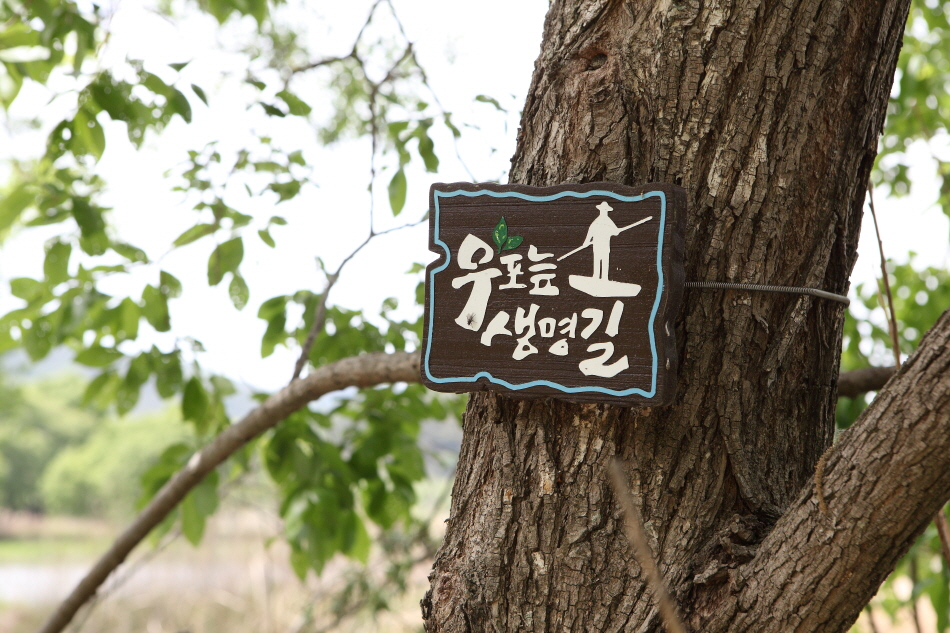 경남 창녕군 우포늪, 우포생태관, 우포출렁다리