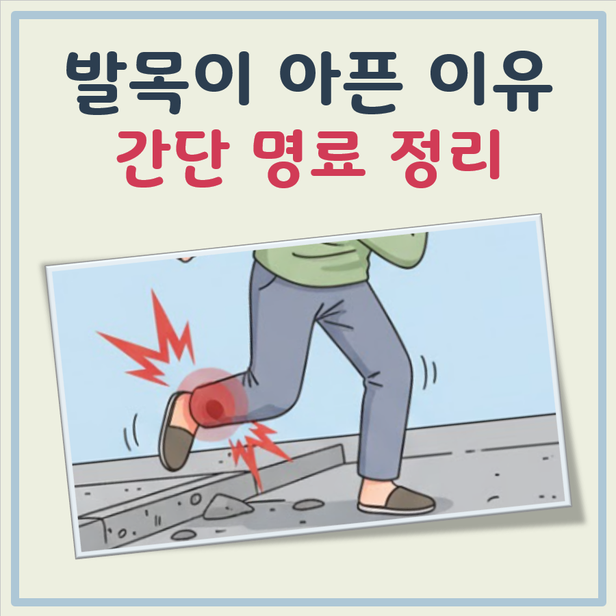 발목이 아픈이유 대표 이미지