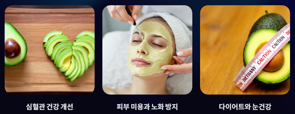 아보카도의 효능과 주의사항