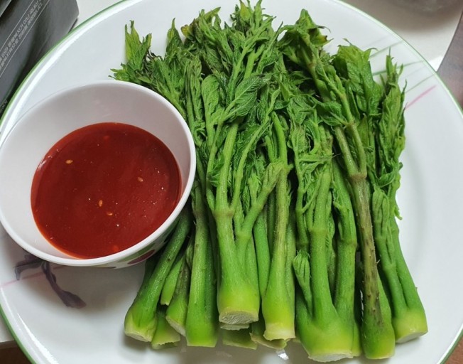 땅두릅 참두릅 효능과 부작용