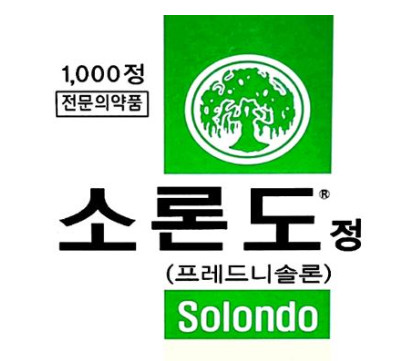 소론도정