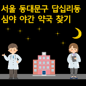 서울 동대문구 답십리동 심야 야간 24시 약국 찾기