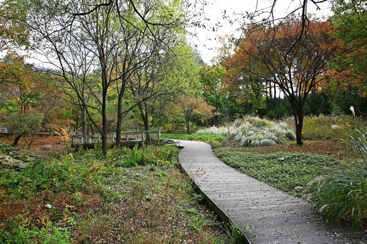 수원&middot;용인 단풍 명소 BEST 5 : 광교호수공원&middot;수원화성&middot;용인민속촌&middot;에버랜드&middot;용인자연휴양림