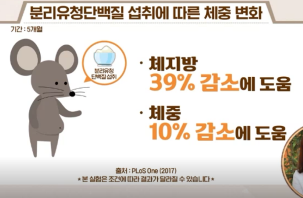 분리유청단백질 효능