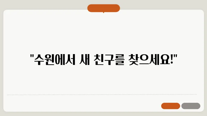 수원고양이분양과 함께 행복 시작하기 이미지