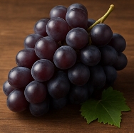 포도 효능