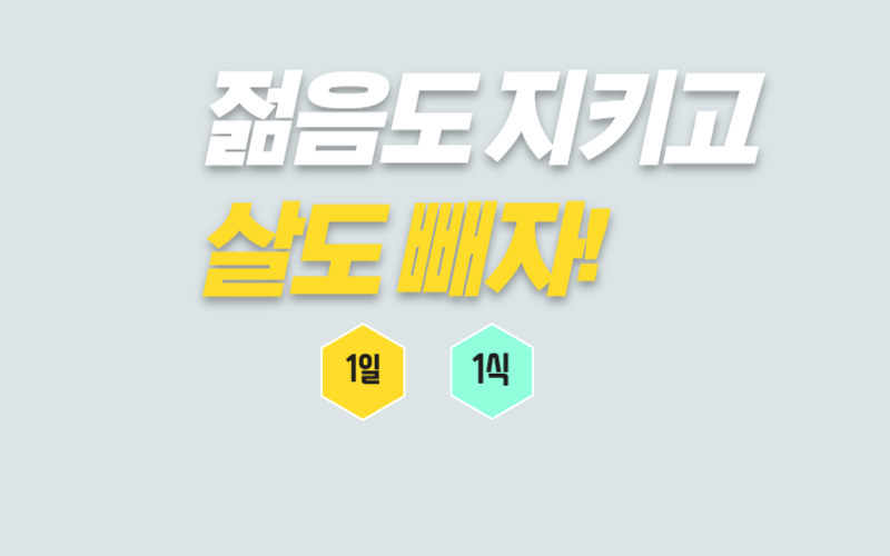 다이어트-1일-1식-썸네일