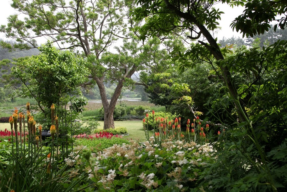 태안 천리포 수목원 수국