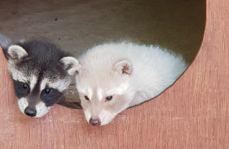 파주 퍼스트가든