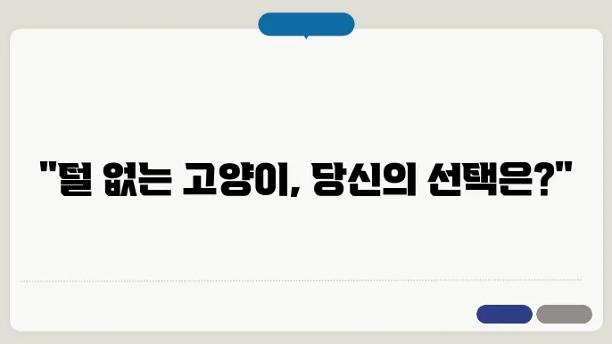 털 안 빠지는 고양이 TOP5 알레르기 걱정 품종은?