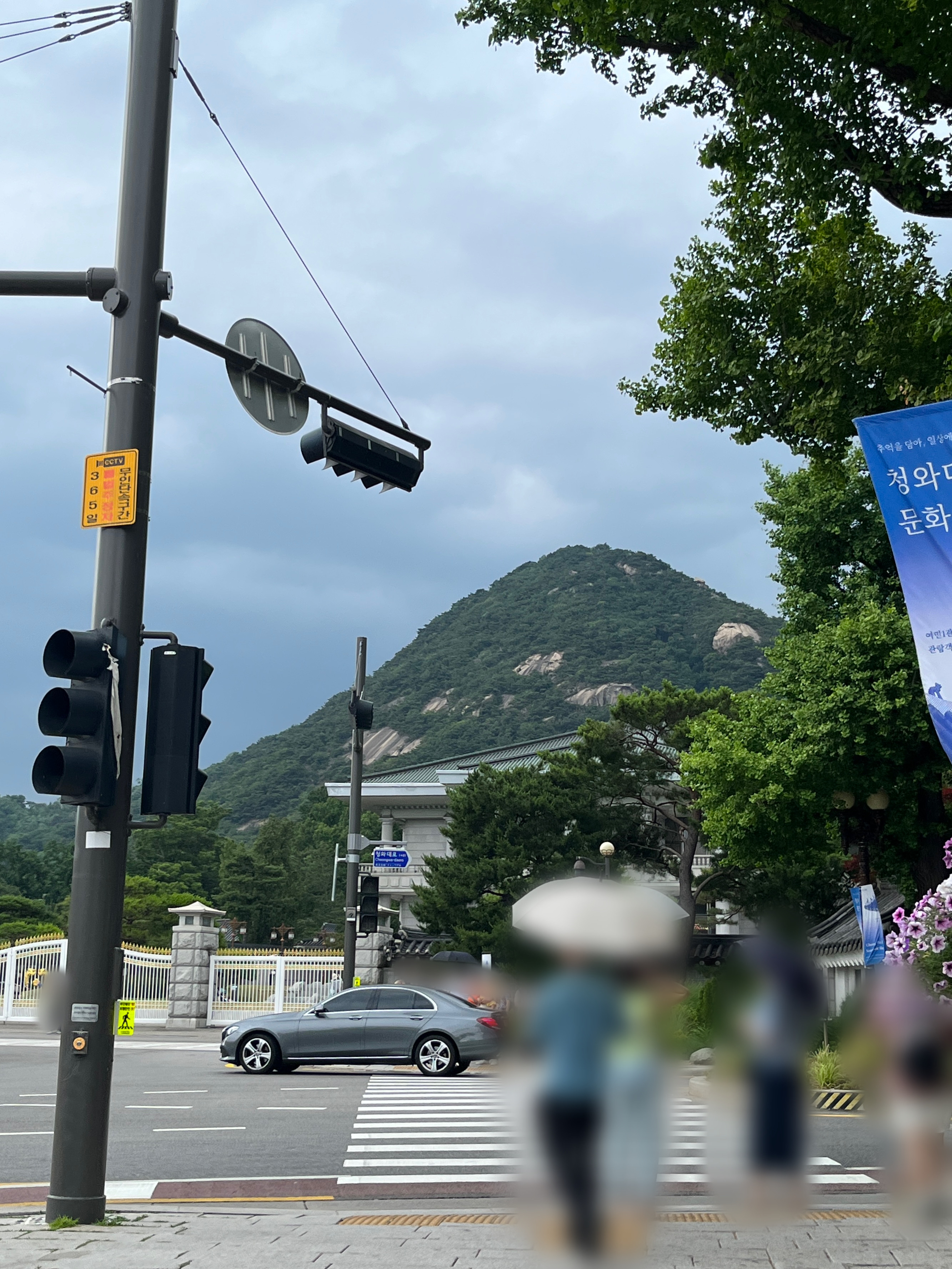 청와대 관람후기