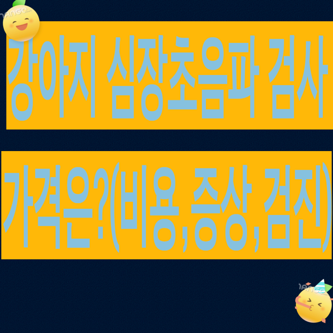 강아지 심장초음파 검사 가격은?(검사비용,증상,검진)