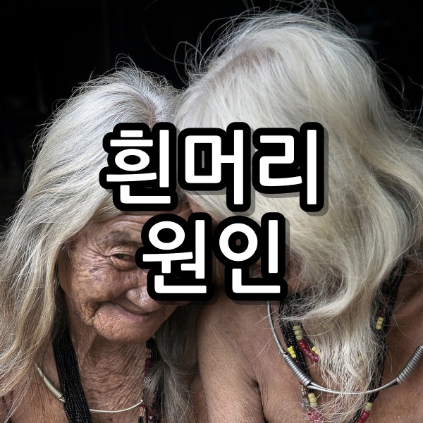 흰머리가 나는 원인 내몸의 신호 뽑아도 될까