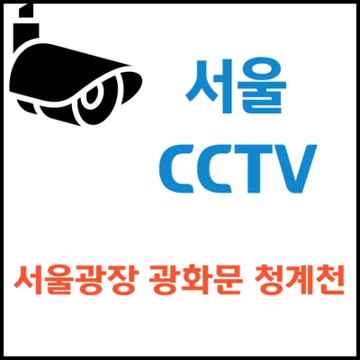 서울 CCTV: 서울광장, 광화문, 청계천, 한강