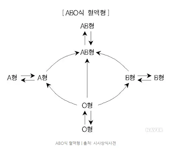 수혈관계