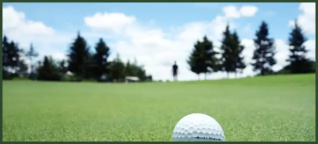 파크골프 공 4피스&amp;#44; 3피스&amp;#44; 2피스 차이점은?