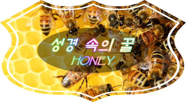 성경 음식 꿀 벌꿀