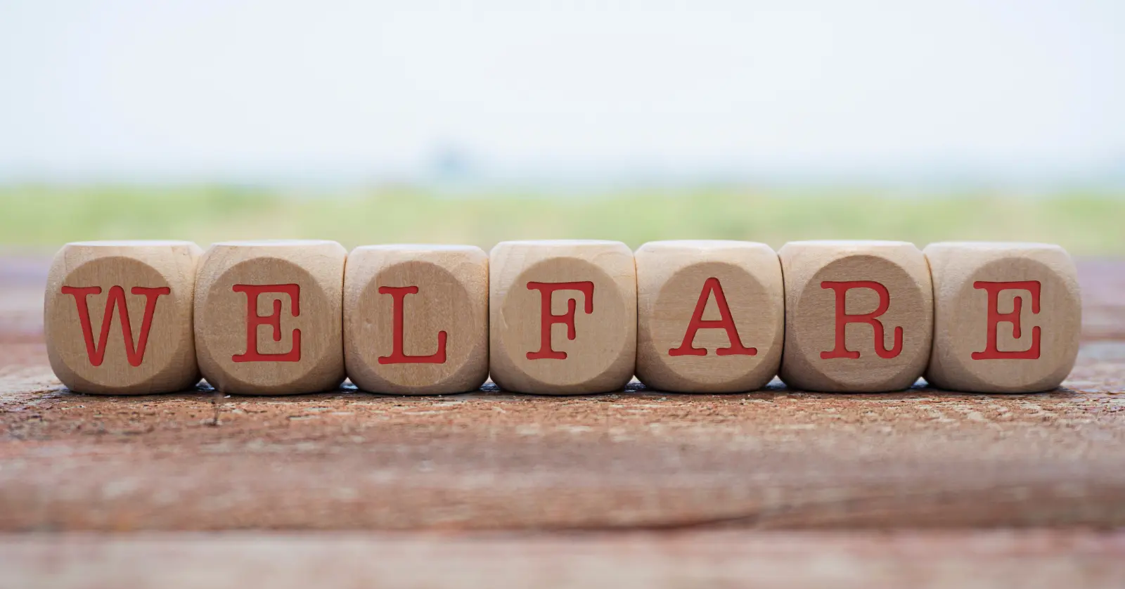 서비스 제공기관 찾기 및 이용 절차