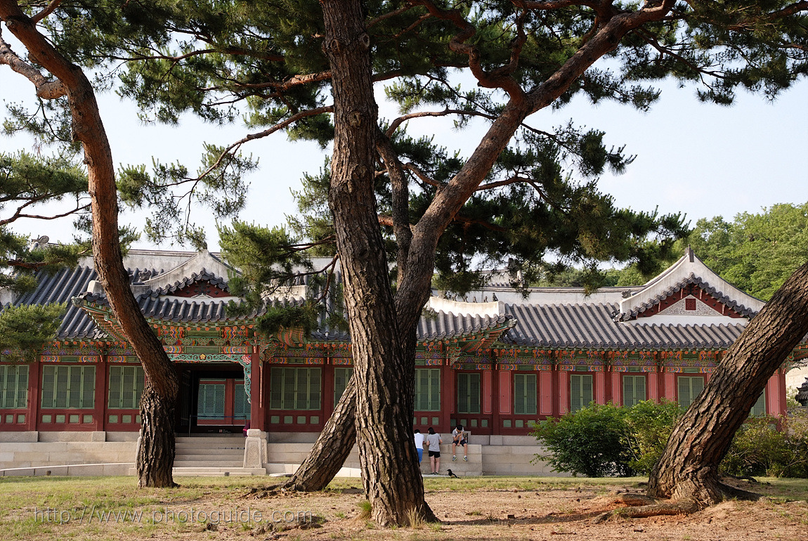 창덕궁 Changdeokgung Palace