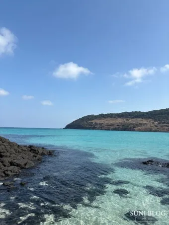 4월 제주도 가볼만한곳 2025년 10선_22