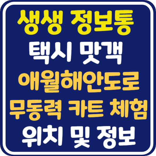 생생 정보통 제주 애월해안도로 무동력 카트 체험 정보 안내 : 택시 맛객
