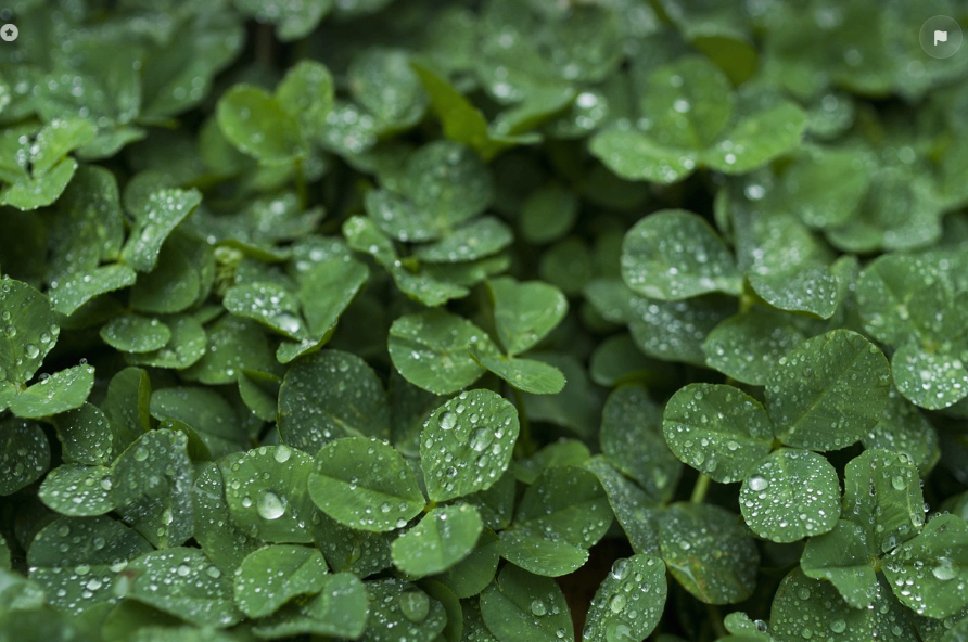 장마 시작 강원도