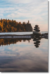 제습기 추천 가격 비교 원리 효과 2024