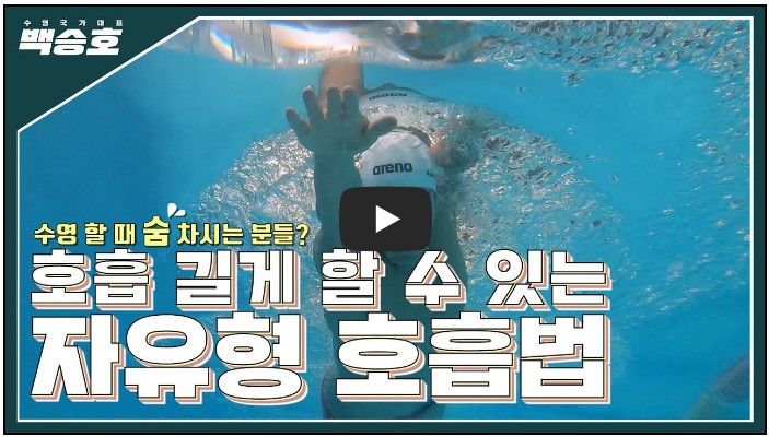 수영 유튜버 순위 TOP 10 5