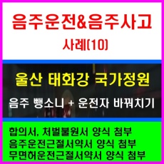 울산 태화강 국가정원-음주운전-사례