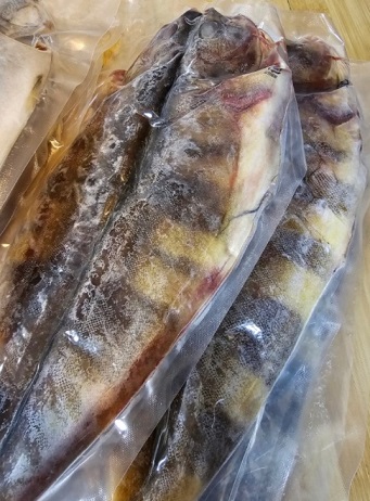 6시내고향-반건조생선