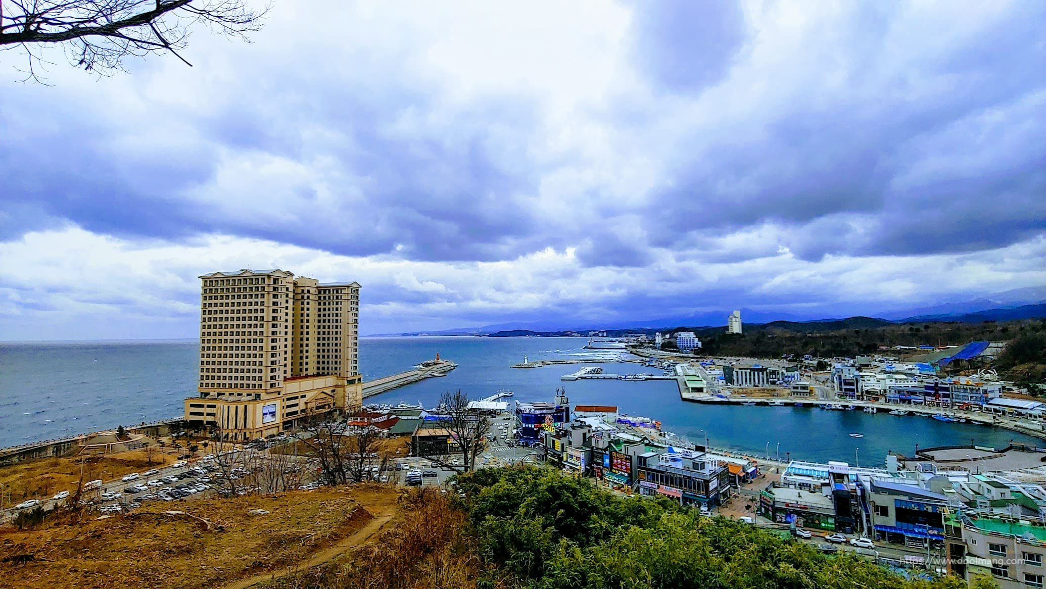 대포항과 라마다 호텔이 보이는 풍경