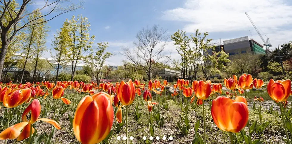 서울-식물원-입장료-주차-요금-운영시간