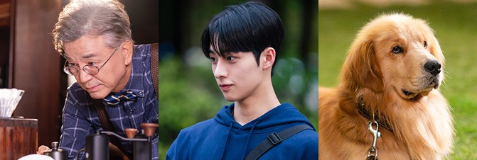 드라마 재방송 OTT 보는법 - 원작이 따로 없는 찬란한 너의 계절에 등장인물 강석우 김태영