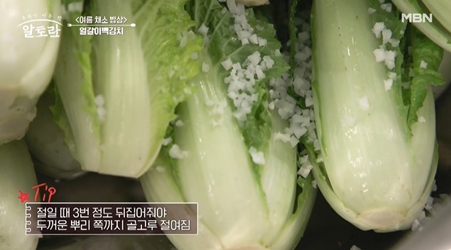 얼갈이를-절일때-3번-정도-뒤집는다