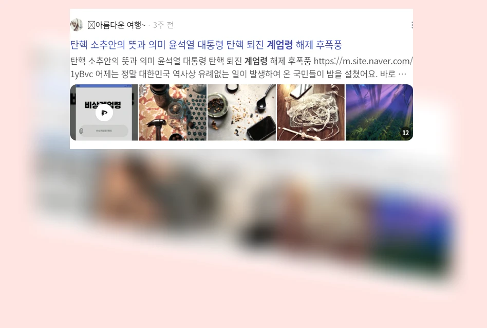 계엄령_2_subsection