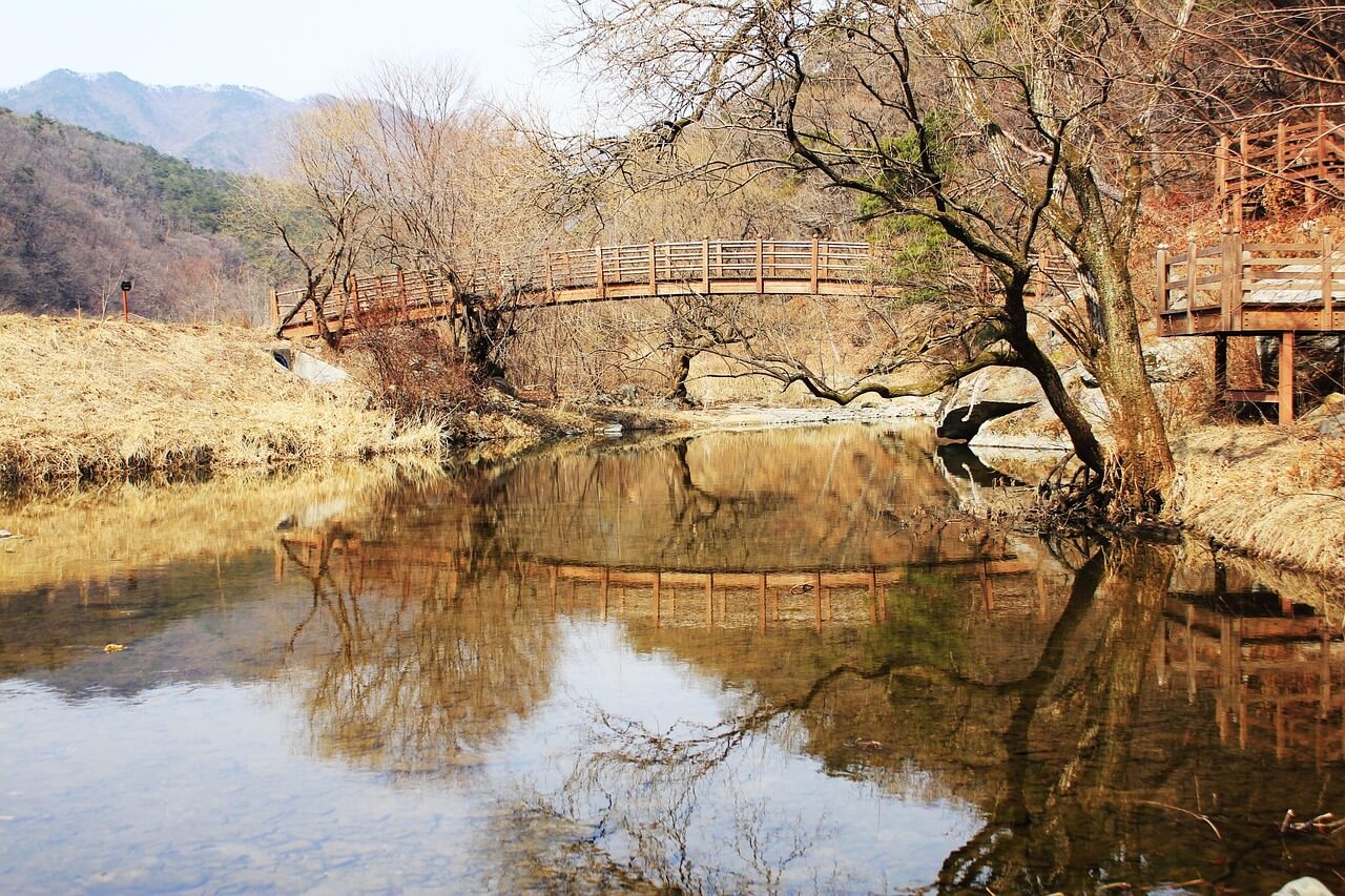 의성 산불 피해 가계·중소기업을 위한 금융지원