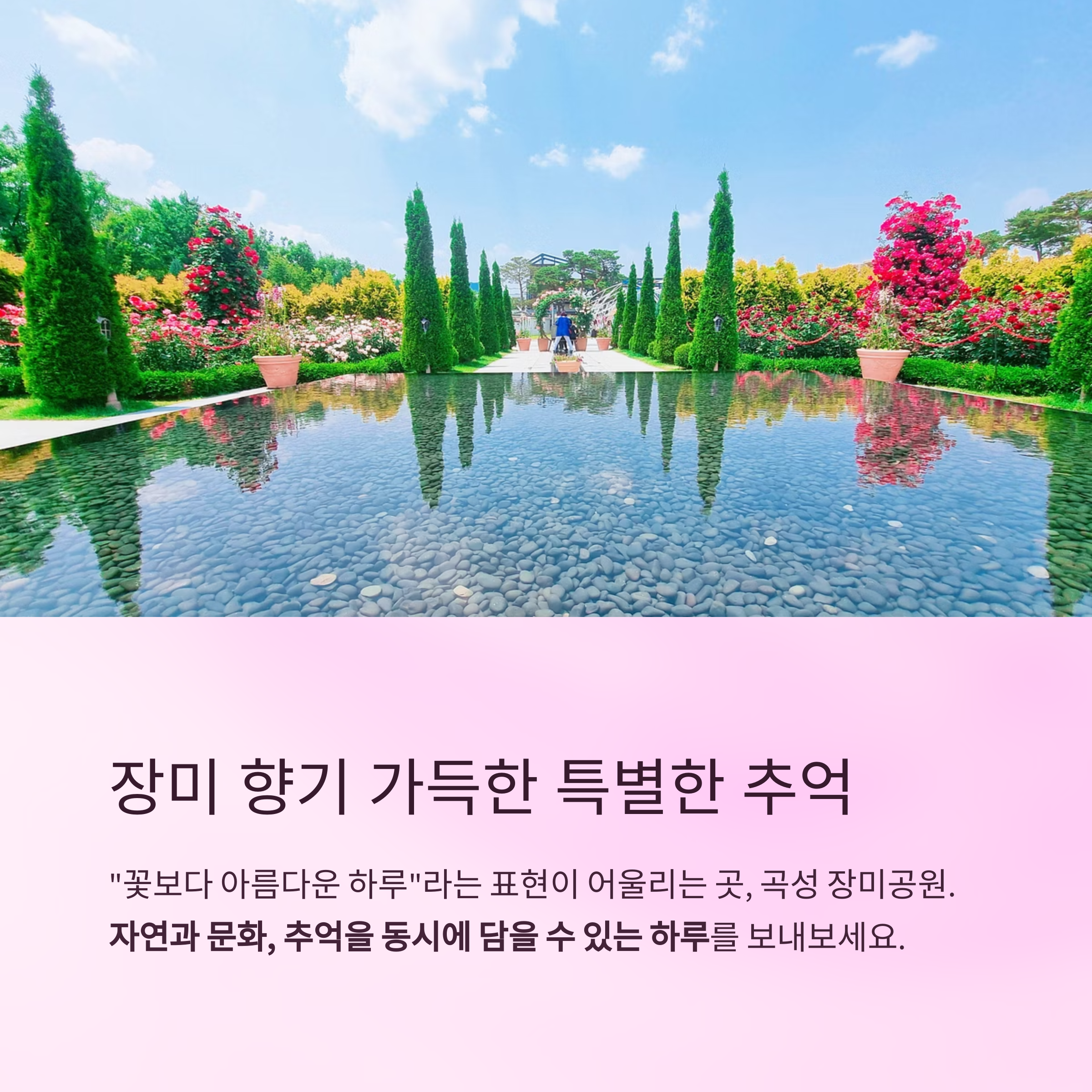 장미 향기 가득한 특별한 추억