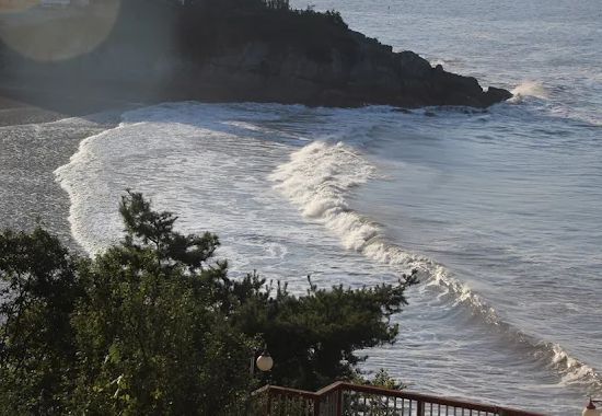 모항갯벌체험장