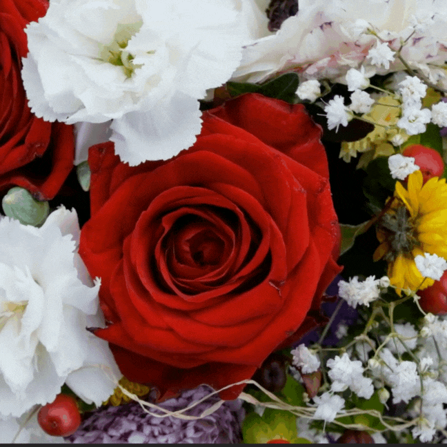 움직이는 생일 축하 문구 이미지 메세지 꽃다발