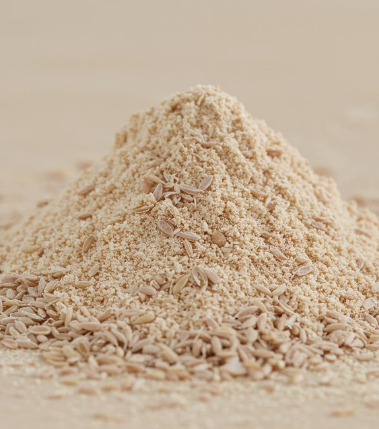 차전자피란 무엇인가요?