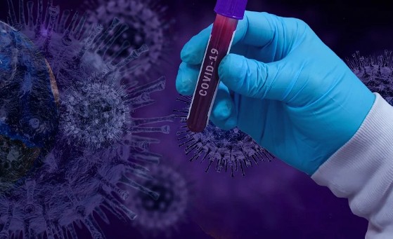 요즘 코로나 증상 순서, 코로나 먹는 치료제 투여대상자 범위 처방, 팍스로비드 임산부