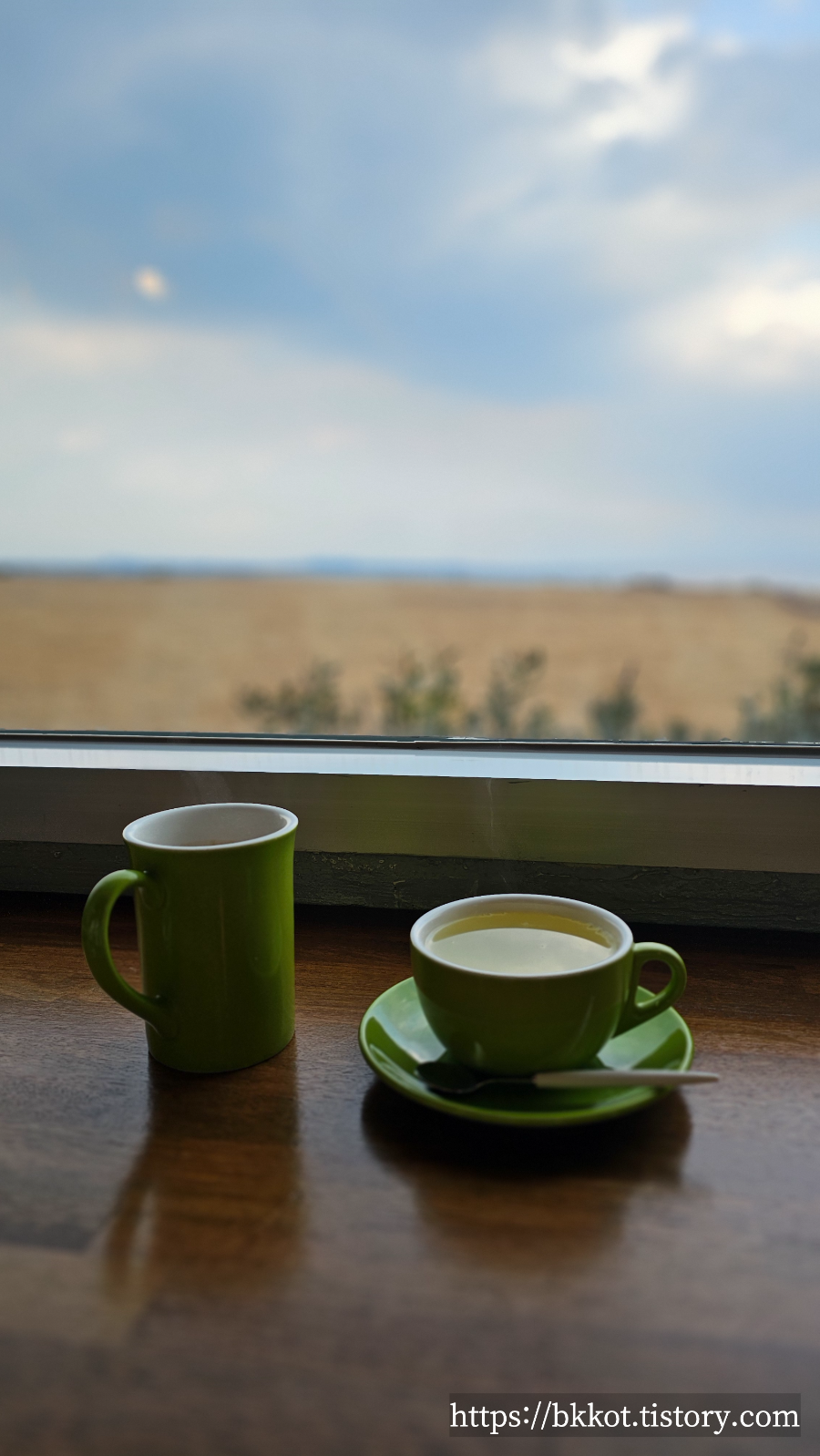 제주도 카페물썹