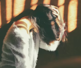 갱년기 증상 30가지