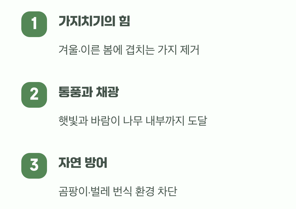 바람과 햇살이 최고의 방패