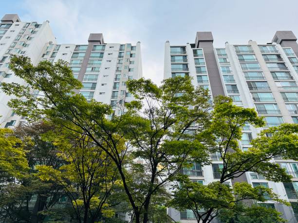 서울 9억대 아파트, 지역별 매물 현황 & 실거래 시세 분석