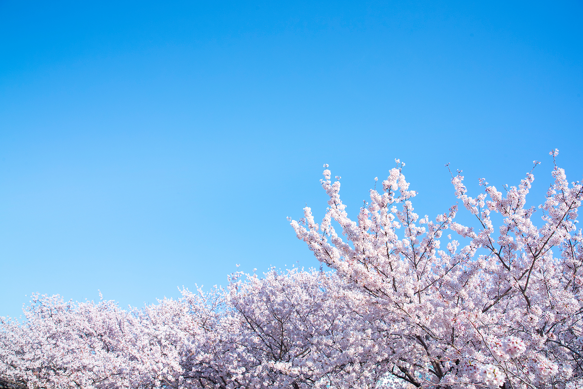 화담숲 예약하기