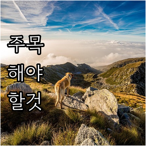 용산구 대형폐기물 지금 바로 온라인으..