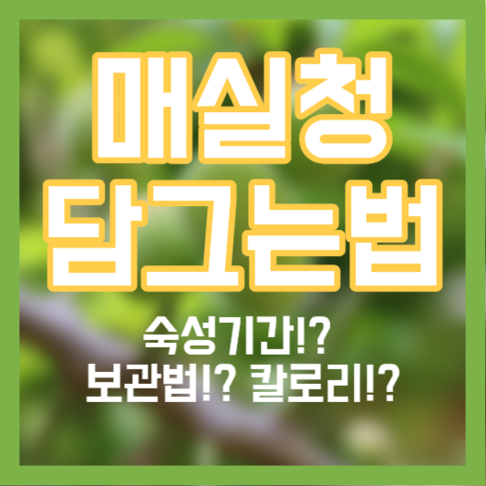 매실청 담그는법, 숙성기간!? 보관법!? 칼로리!?